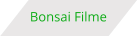 Bonsai Filme